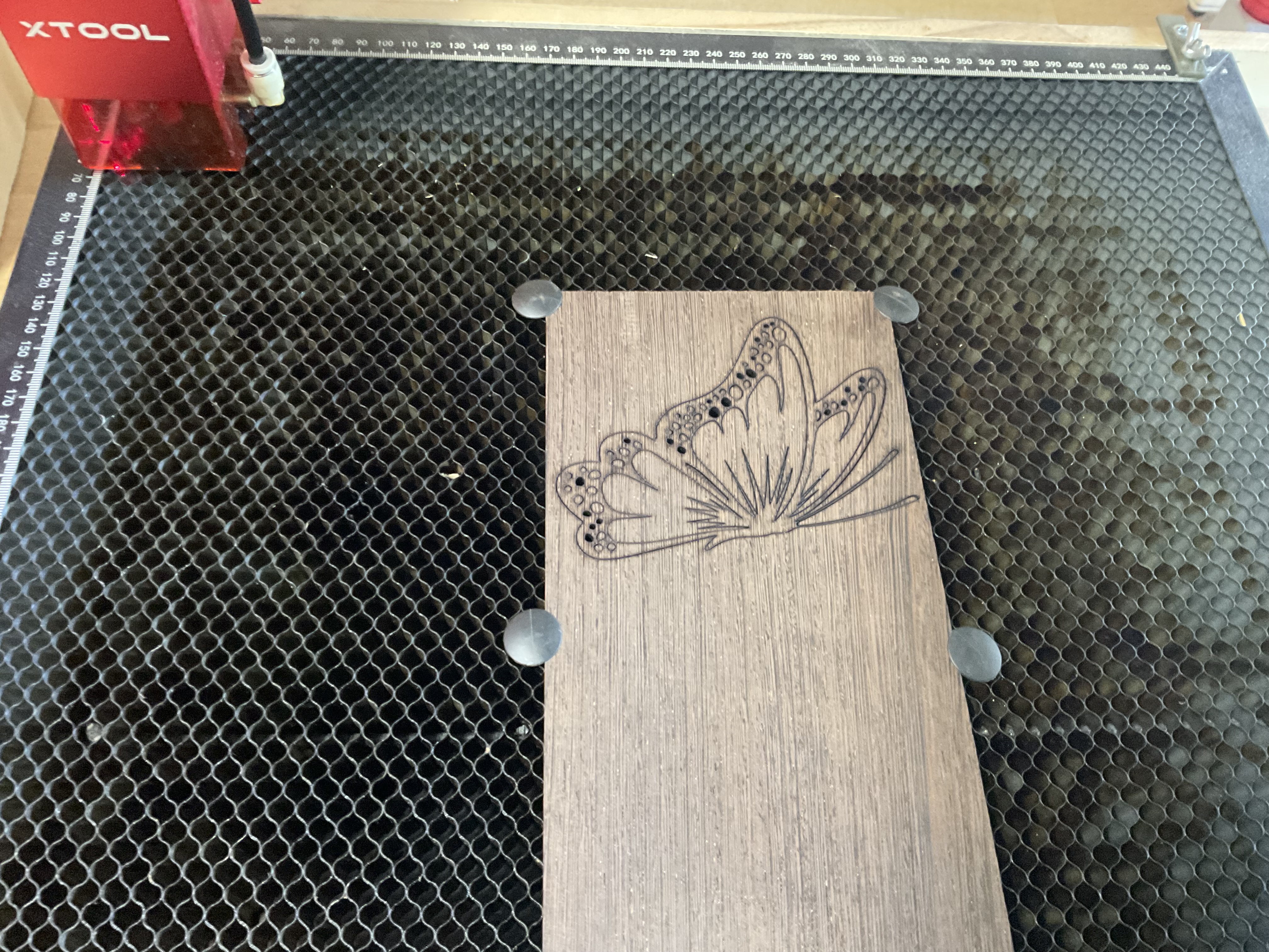 Butterfly outline cut from thin black walnut on the laser bed